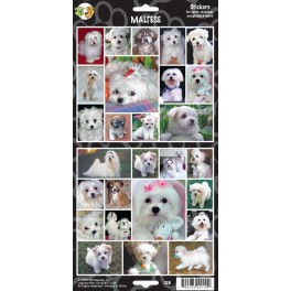 Maltese 27 Assorted Stickers