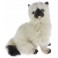 Toffee Himalayan Cat Plush Toy Cat, Bocchetta Plush Toys
