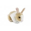 Rabbit Bunny Mopsy by Bocchetta Plush Toys