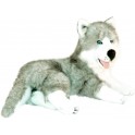 Siberian Husky Madison, Bocchetta Plush Toys