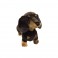 Dachshund Sausage Dog Stretch Plush Toy by Bocchetta Plush Toys