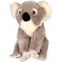 Koala Plush Toy by Wild Republic